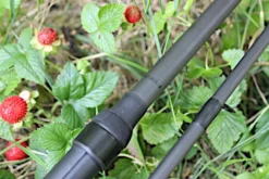 Ashima FFX-D 9ft 3.00lb 40mm 3 Halen = 2 Betalen 7 Ashima FFX-D 9ft 3.00lb 40mm 3 Halen = 2 Betalen -Campsite & Supply 33338652d5540e82