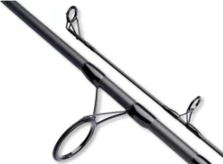 Daiwa Black Widow XT Carp 3,00m/10ft 2lb