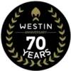 Westin Carbon Helmet