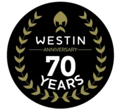 Westin Carbon Helmet