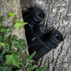 Dorr Rain Forest II Pocket Binocular 10x25 Black